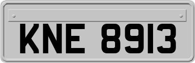 KNE8913