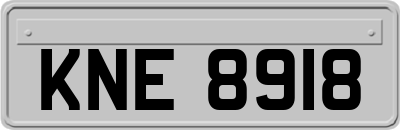 KNE8918