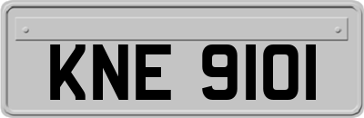 KNE9101