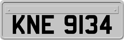 KNE9134