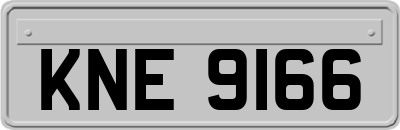 KNE9166