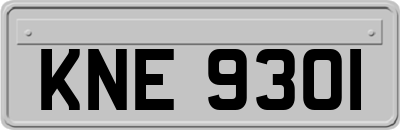 KNE9301