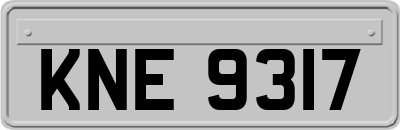 KNE9317