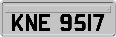 KNE9517