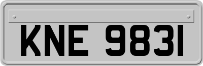 KNE9831