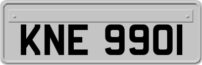 KNE9901