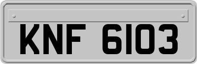 KNF6103