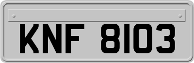 KNF8103