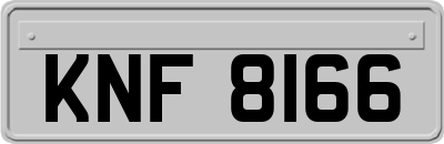 KNF8166