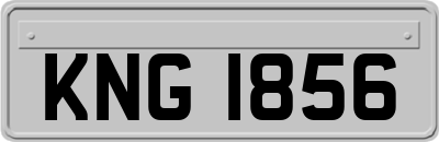 KNG1856