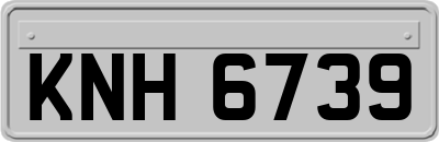 KNH6739