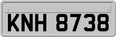 KNH8738