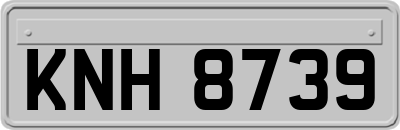 KNH8739