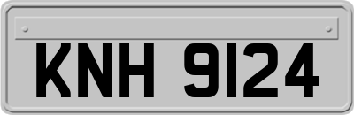 KNH9124