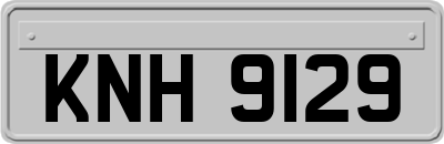 KNH9129
