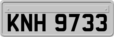 KNH9733