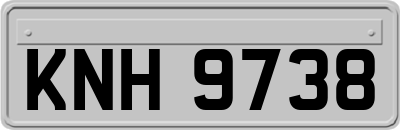 KNH9738
