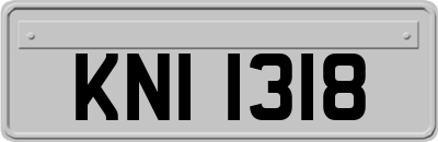 KNI1318