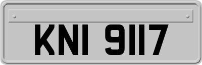 KNI9117