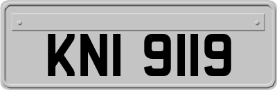 KNI9119