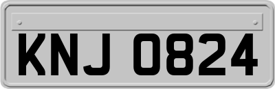 KNJ0824