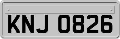 KNJ0826