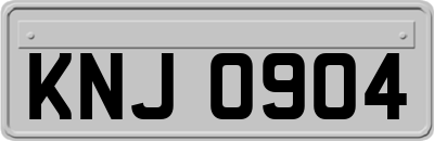 KNJ0904