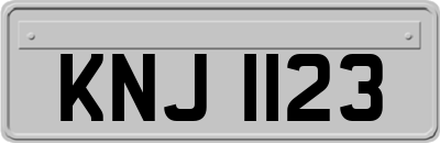 KNJ1123