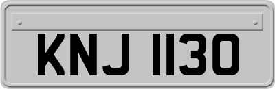 KNJ1130