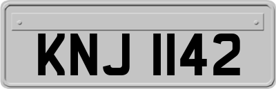 KNJ1142
