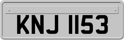 KNJ1153