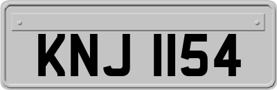 KNJ1154