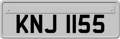 KNJ1155