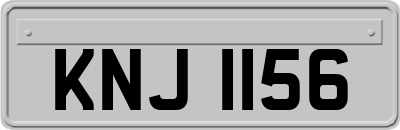 KNJ1156