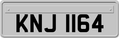 KNJ1164