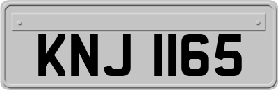 KNJ1165