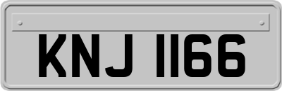 KNJ1166