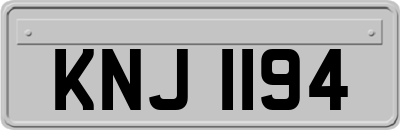 KNJ1194