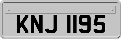 KNJ1195