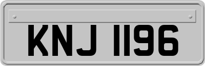 KNJ1196