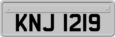 KNJ1219