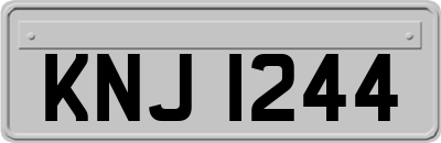 KNJ1244