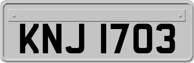 KNJ1703