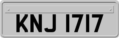 KNJ1717