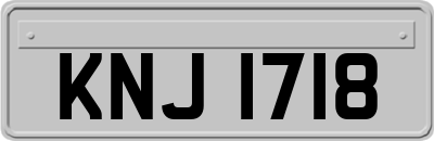 KNJ1718