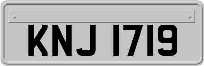KNJ1719