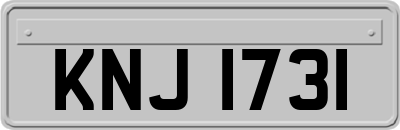 KNJ1731
