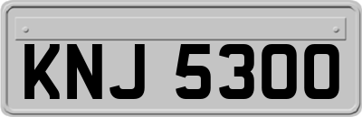 KNJ5300