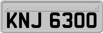 KNJ6300