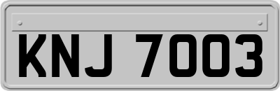 KNJ7003